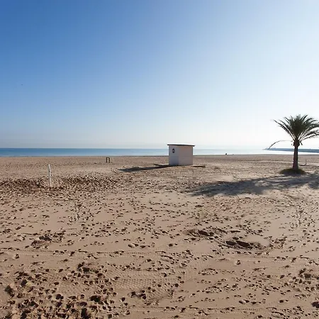 Venus Playa de Gandia